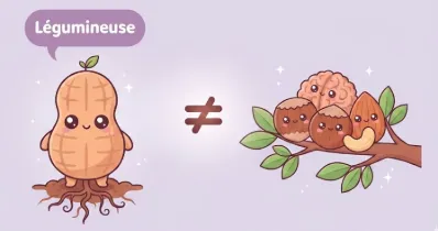 Cacahuètes différents des fruits à coque